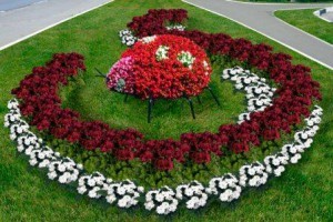, , , + , + ,, , ,,,, + ,+ flower with their hands,bed,flower,Landscaping
